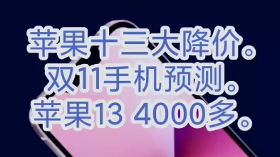 苹果13活动促销双11只要4000多,兄弟们冲啊.哔哩哔哩bilibili