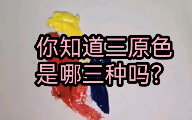 你知道三原色是那三种吗?正确是;柠檬黄,大红,普篮.哔哩哔哩bilibili