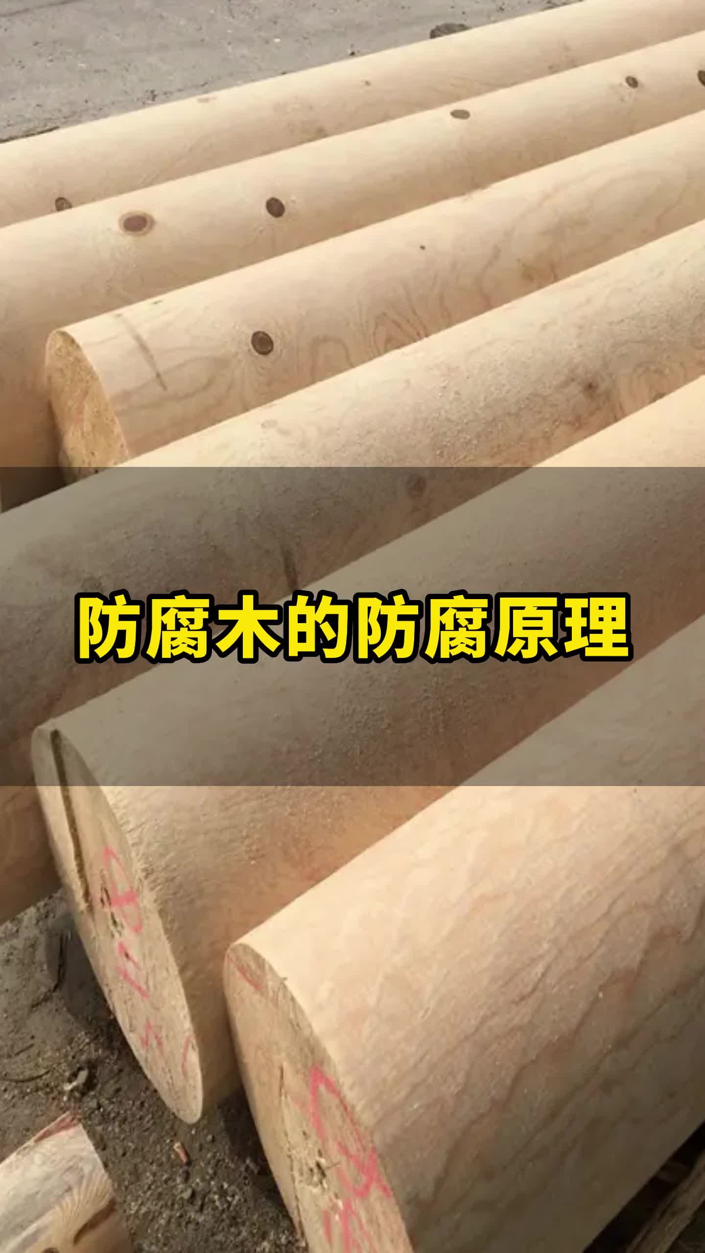 防腐木的防腐原理哔哩哔哩bilibili