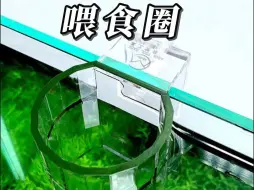 Download Video: 【白兰水族】鱼缸喂食圈