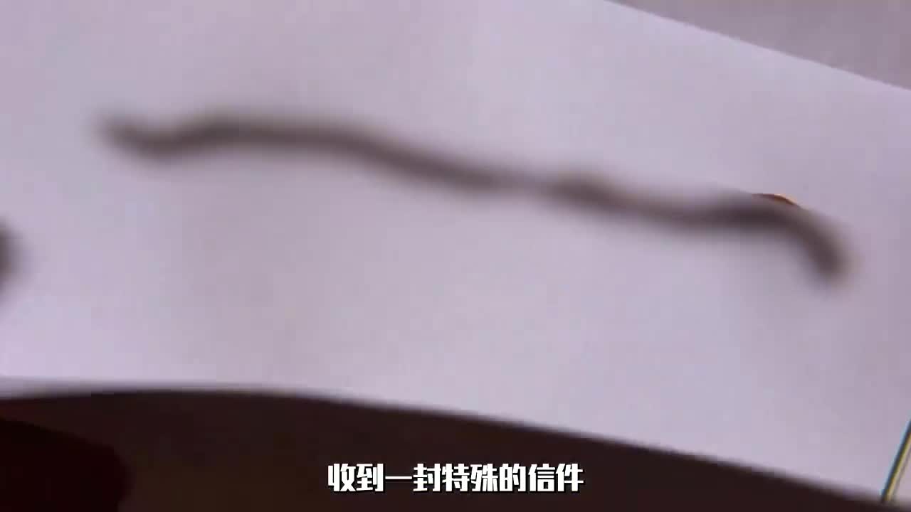 奇葩老板喜好奇特,喜欢在办公室体罚秘书,人性爱情电影《秘书》哔哩哔哩bilibili