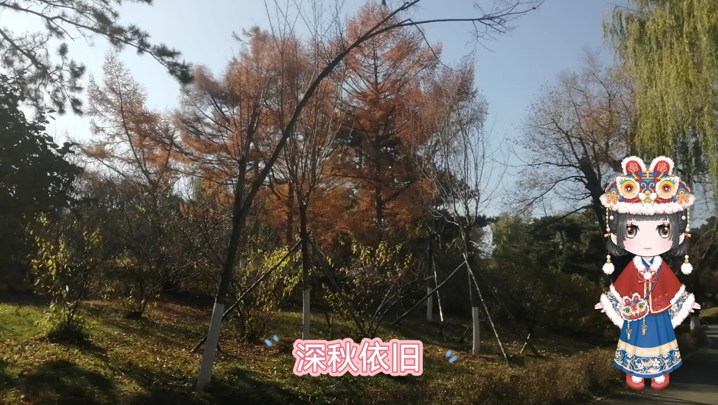 深秋依旧哔哩哔哩bilibili