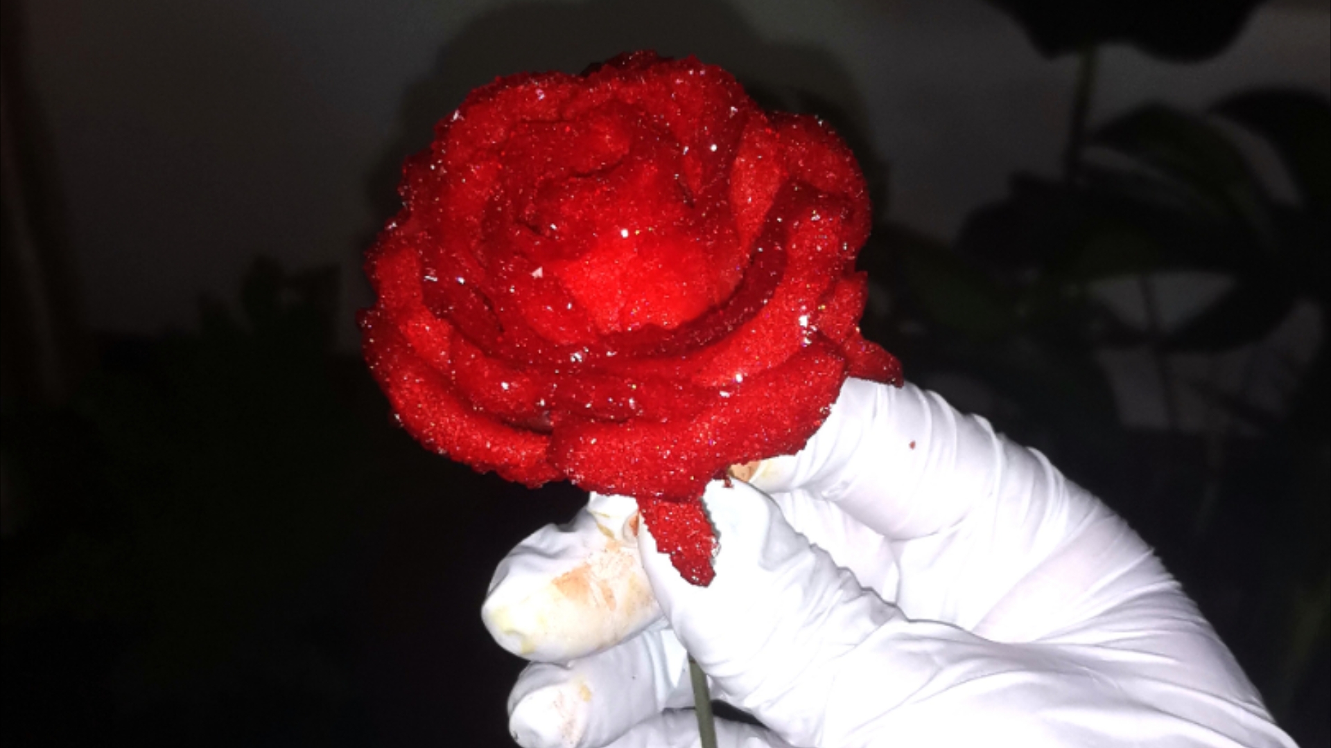 晶体玫瑰4.0 血色玫瑰