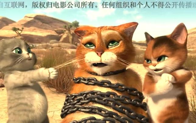 [图]【萌猫三剑客】-三只恶魔小魔球