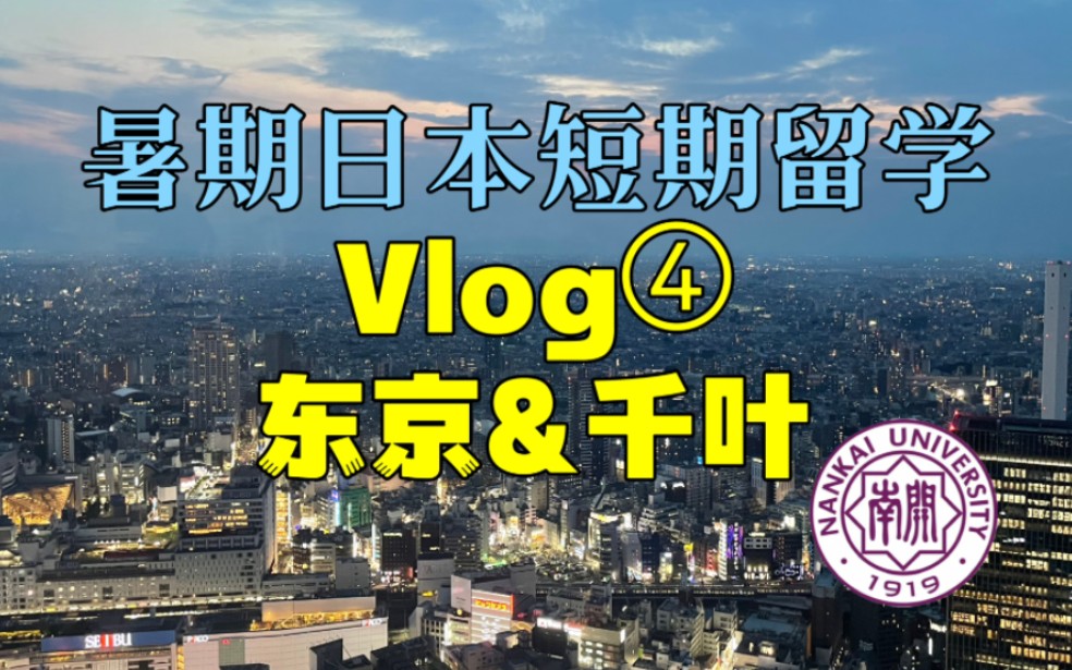 【南开大学日语系】2023年夏季日本短期留学 vlog ④|东京&千叶哔哩哔哩bilibili