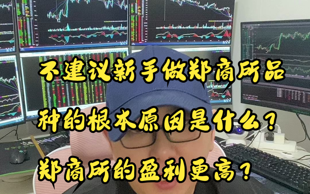 不建议新手做郑商所品种的根本原因是什么?郑商所的盈利更高?哔哩哔哩bilibili