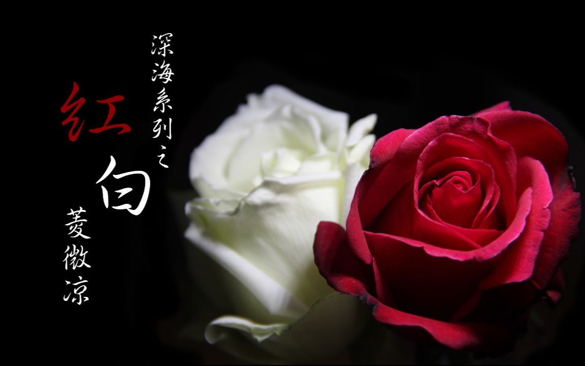 【深海】【陈深/唐山海】红白(含高甜彩蛋)