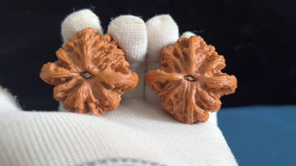 堂上粗筋虎头 有修 已打底边47.5/47.4 肚46/46.6 高40.9/40.3克重21