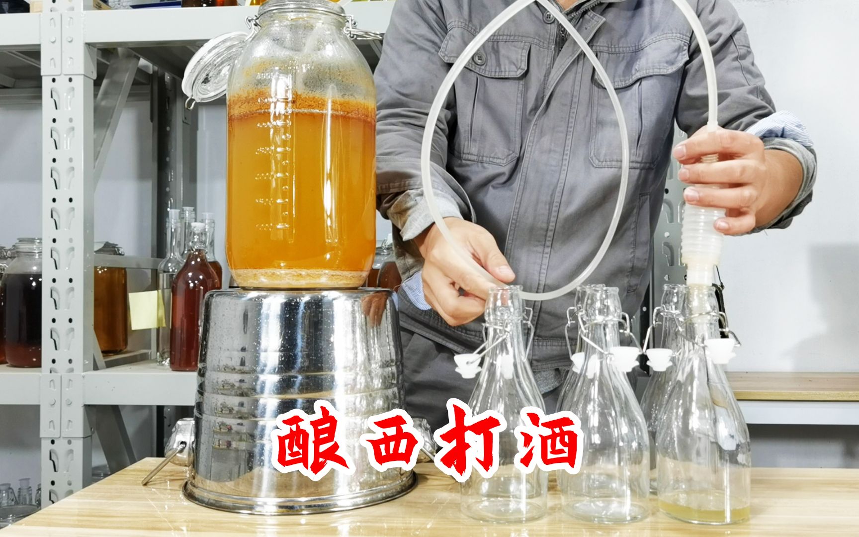 凯撒大帝喜欢喝的西打酒是什么酒?用10斤苹果自酿酒试试看哔哩哔哩bilibili