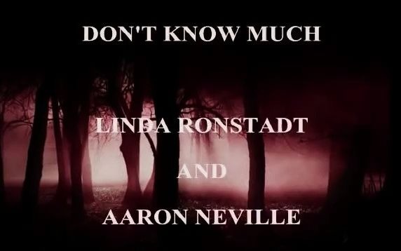 [图]DON'T KNOW MUCH (Lyrics) - LINDA RONSTADT AARON NEVILLE