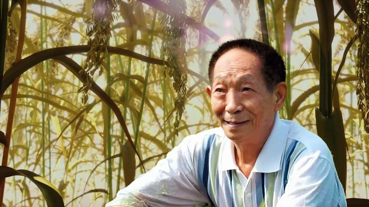 “风吹过稻田，我们又想您了……”