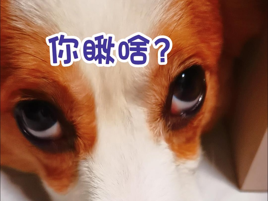 莫名喜感,看出来天热了!