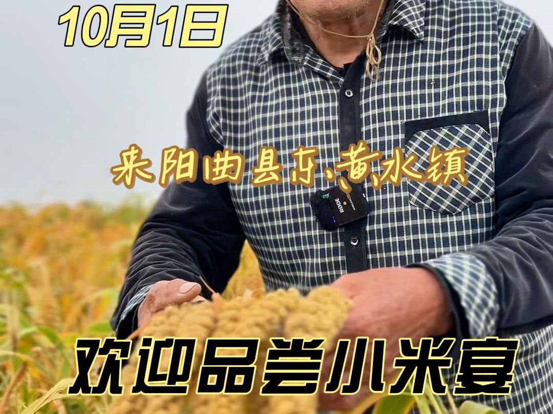 10月1日!东黄水秋收开镰啦!超多惊喜福利等着你哔哩哔哩bilibili