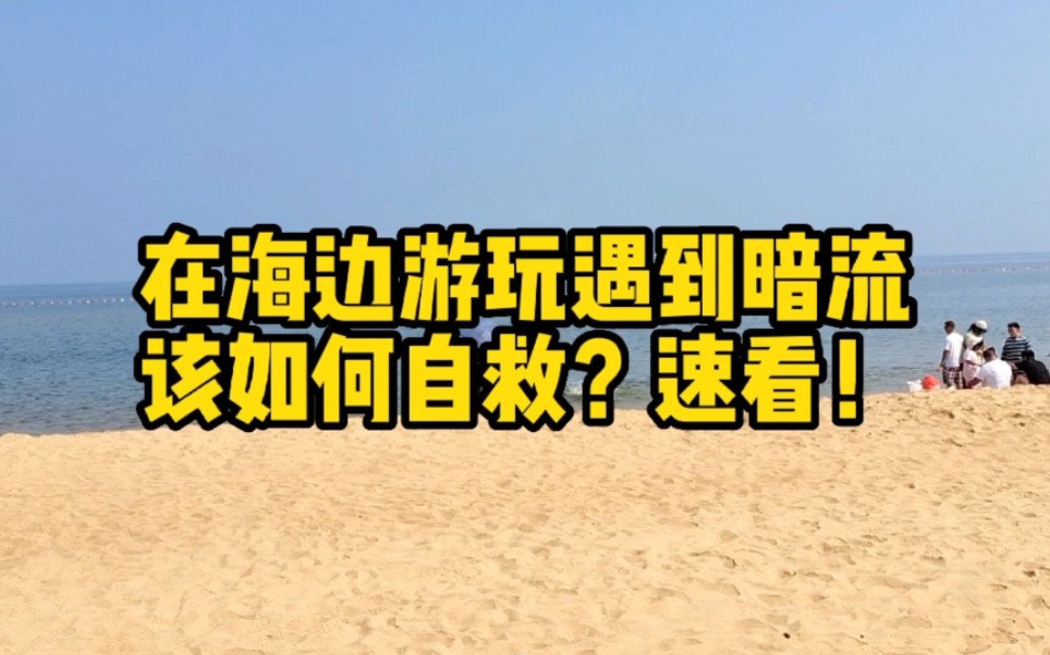 威海海水浴场最近发生多起溺亡事件,教大家遇到暗流如何自救!哔哩哔哩bilibili