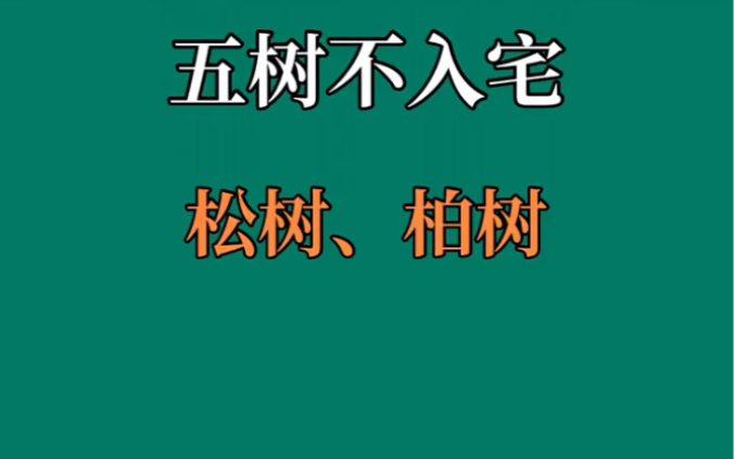 五树不入宅“松树、柏树”哔哩哔哩bilibili