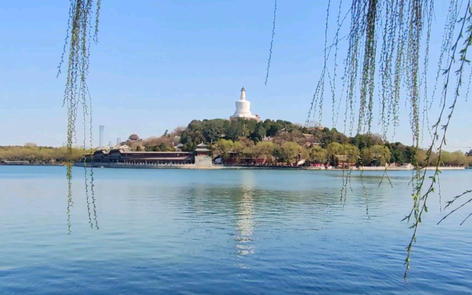 [北京北海公园]是春天的味道