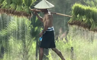 剪辑师素材-超高清高山湖泊自然绝美壮观大气旅游摄影田野风景记录素材~短视频剪辑师制作中需要用到的空镜头转场素材积累~等视频剪辑软件常用素材库