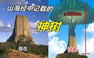 Download Video: 【魔鬼塔之谜】山海经中的神树真的存在？为什么有科学家说地球上已经没有“树”了！