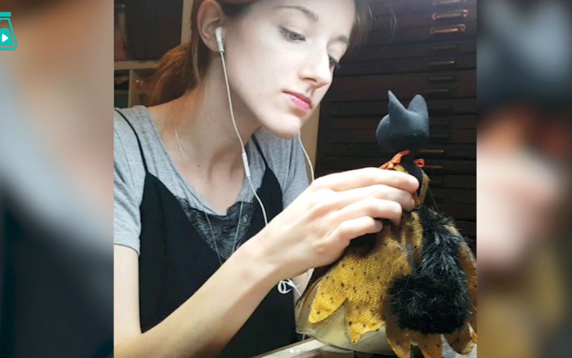 英国小姐姐手工创作猫形人身玩偶,每一只都个性满满