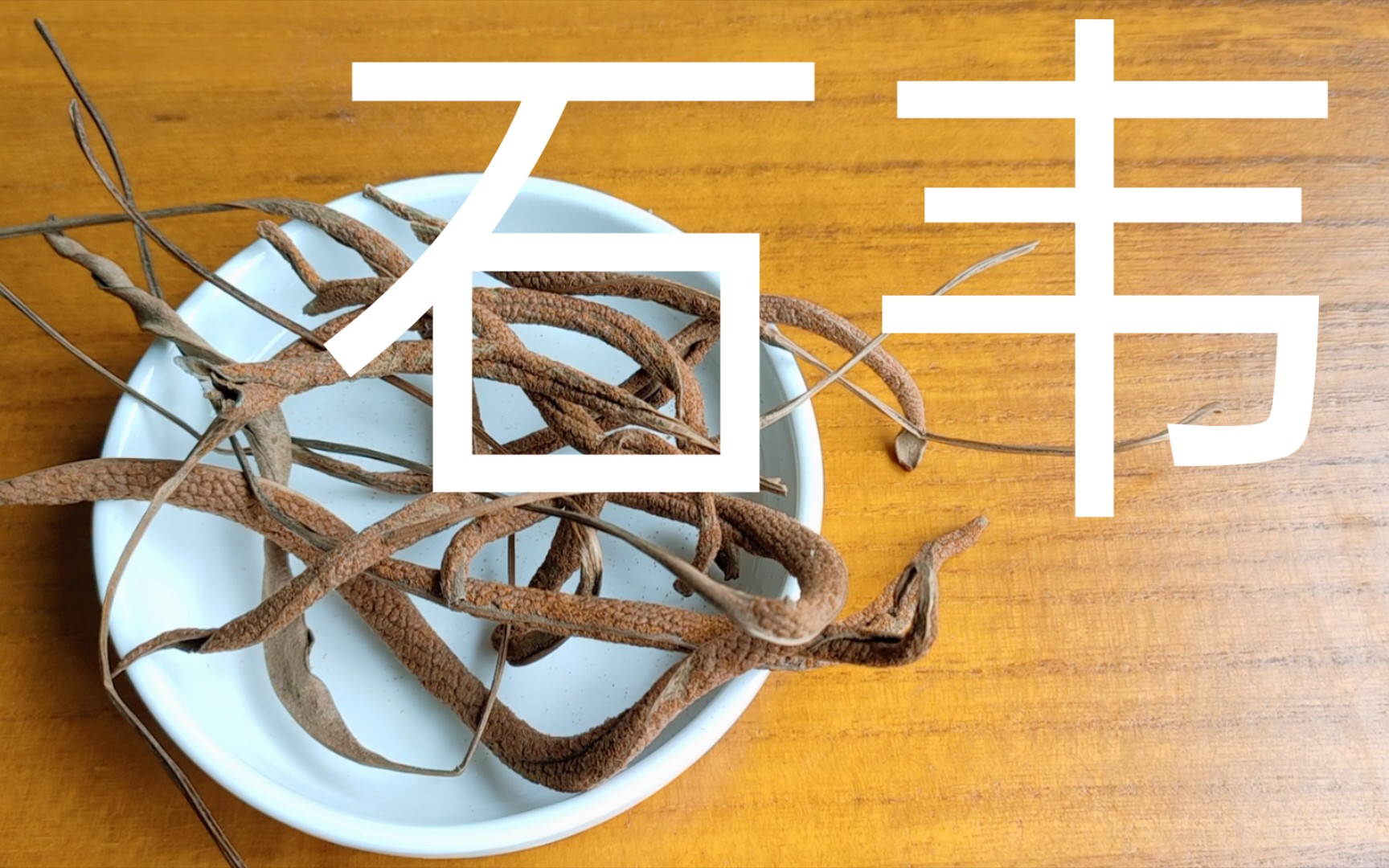 中药饮片辨识利水渗湿药之石韦