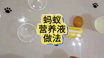 蚂蚁营养液的做法