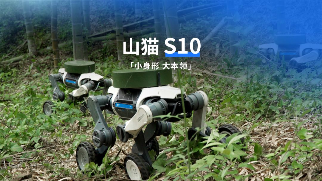 几万预算，行业顶配！小山猫来袭！