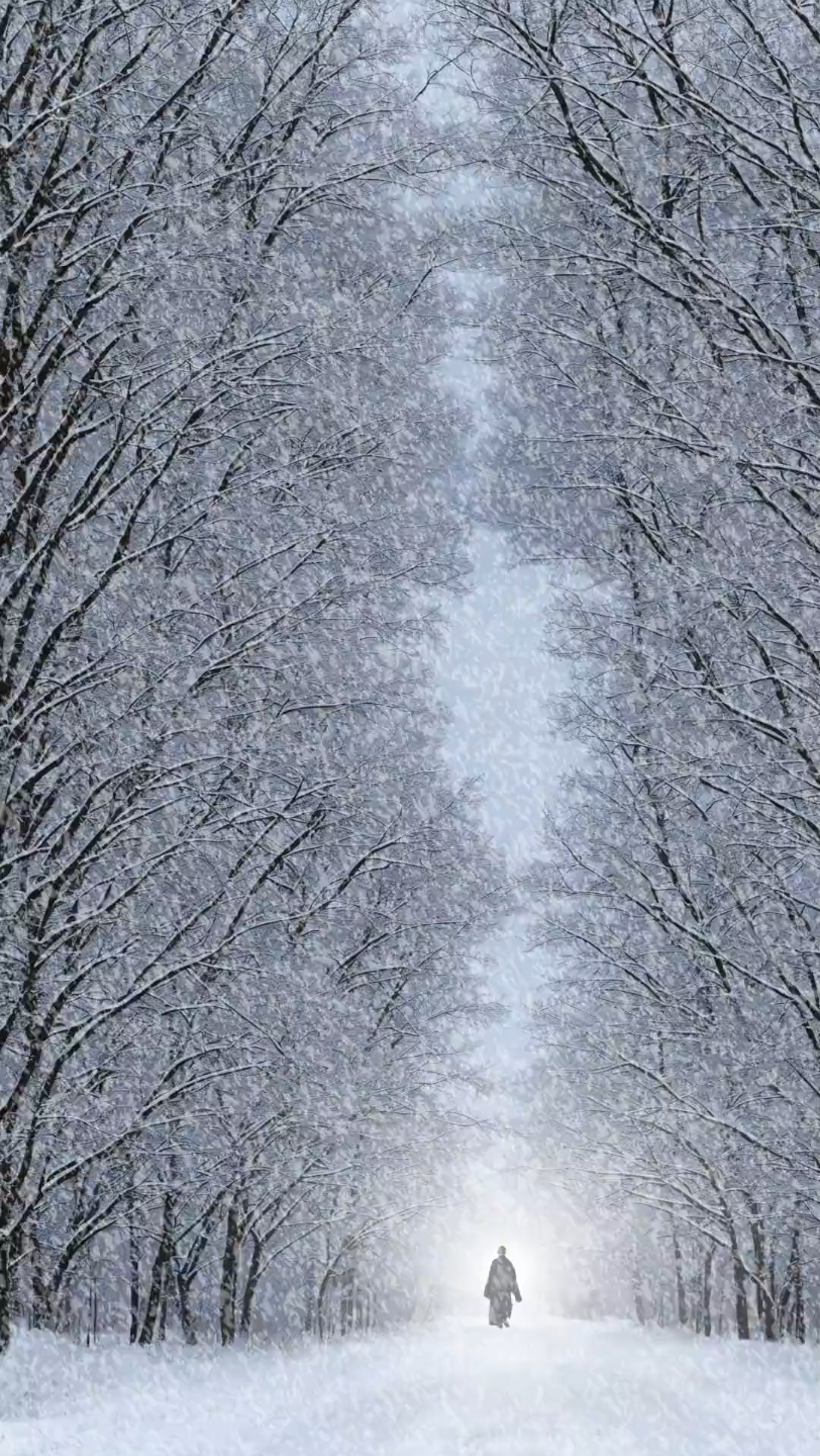 最美的下雪风景图片图片