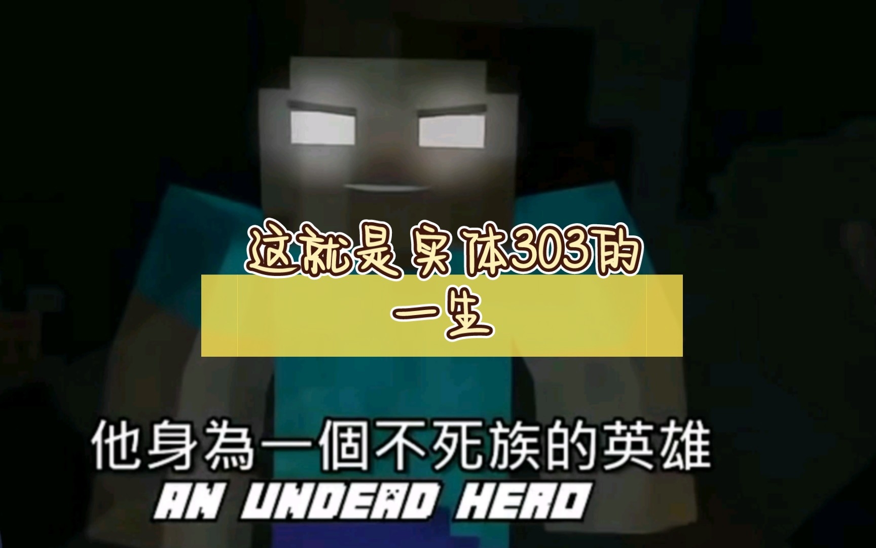 这就是实体303的一生【转载】