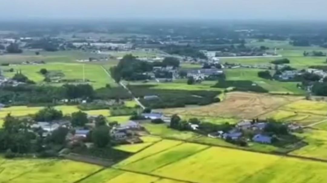 我国秋粮收获进度已过三成，各地抢抓时机保丰收