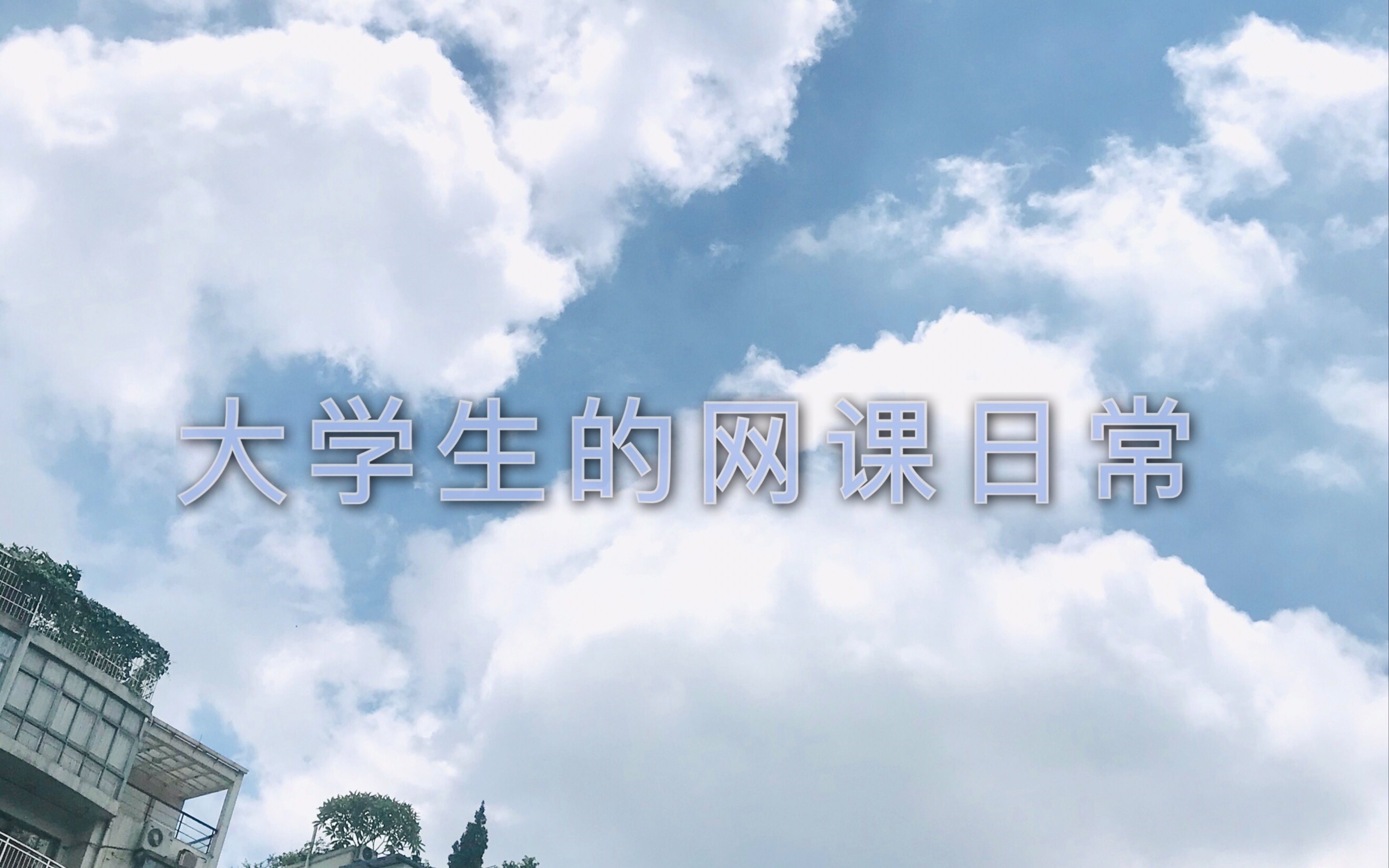 大学生上网课|studywithme|社团工作|小组作业|吸猫日常