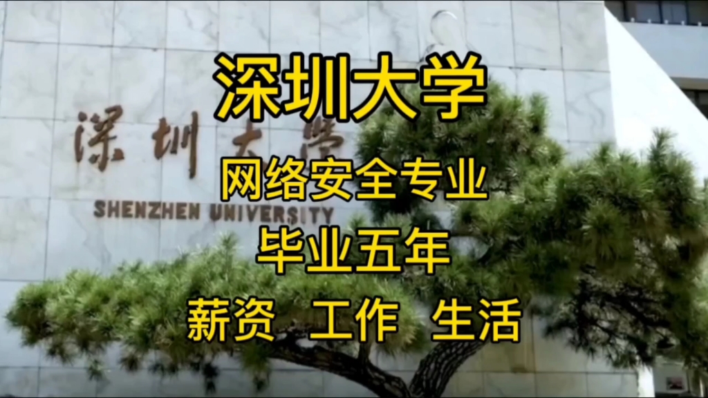 2018年,互联网最巅峰的时期,那些毕业于深圳大学的人,如今工作,生活,薪资现状哔哩哔哩bilibili