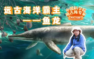 Download Video: 【中科院南古所】位于远古深海中食物链顶端的生物，远古海洋中的霸主——鱼龙