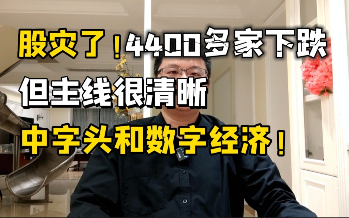 惨,股灾了!4400多家下跌,但主线很清晰:中字头和数字经济!哔哩哔哩bilibili