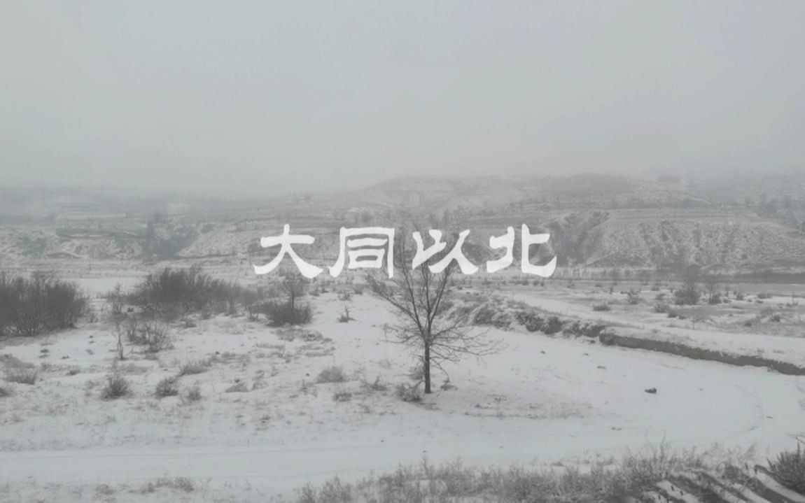 辛丑腊月塞北的雪哔哩哔哩bilibili