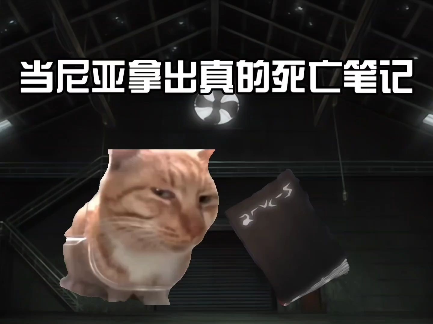 当尼亚拿出真的死亡笔记