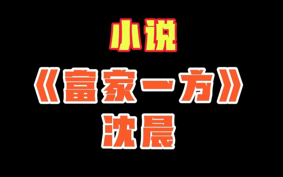 [图]小说《富家一方》沈晨