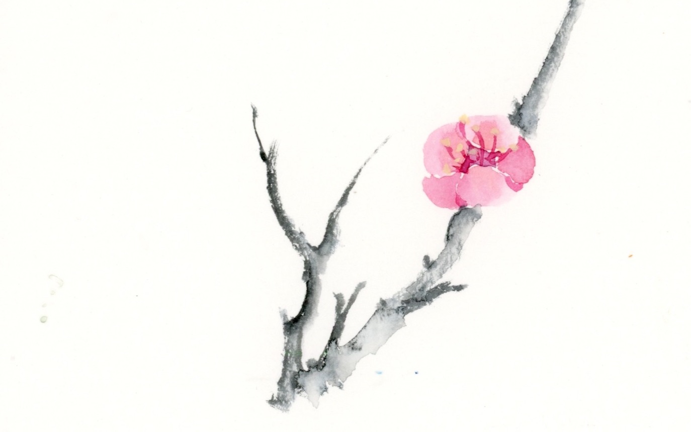【古风水彩】红梅花开水彩绘制过程