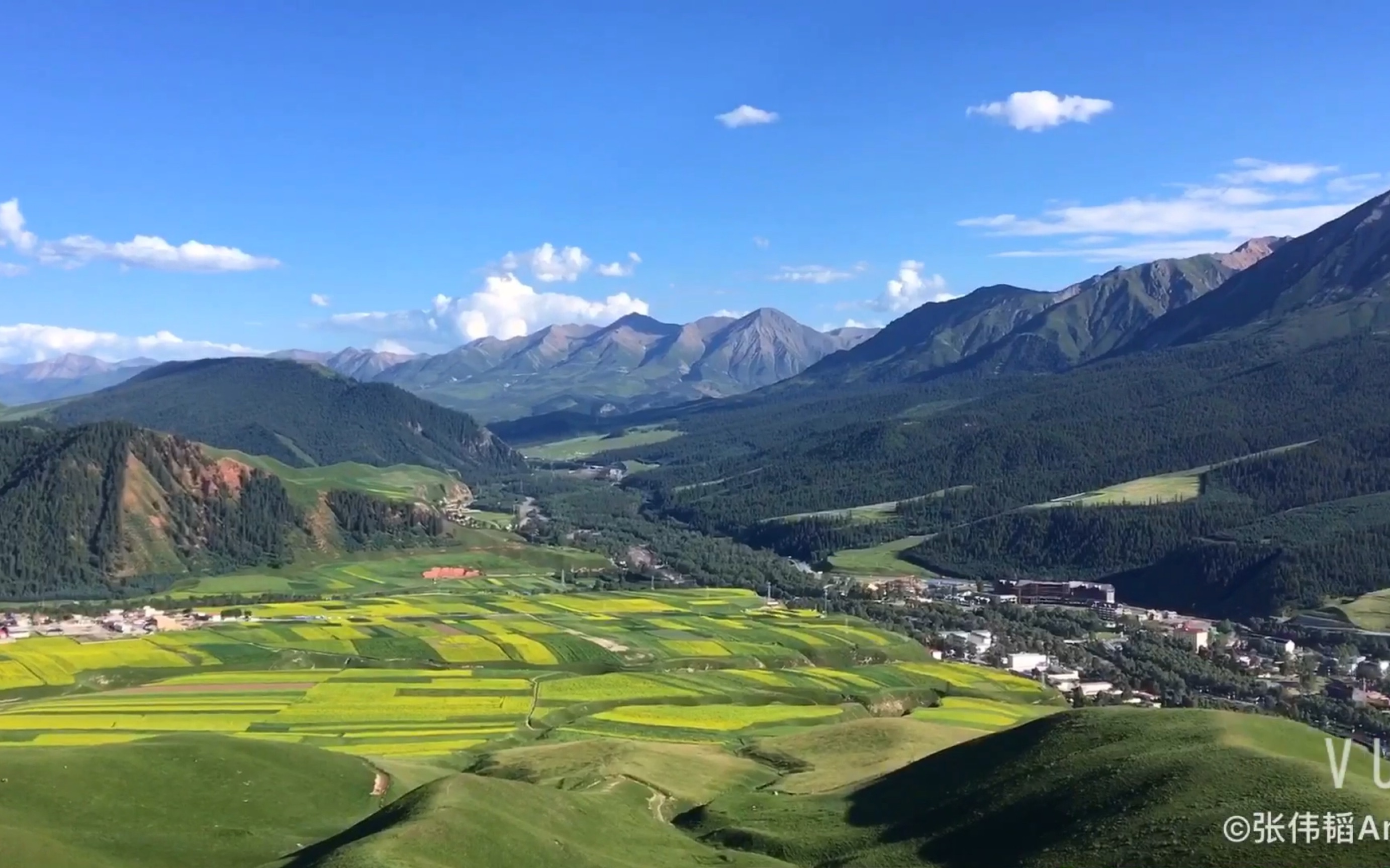 门源油菜花海青海湖祁连卓尔山