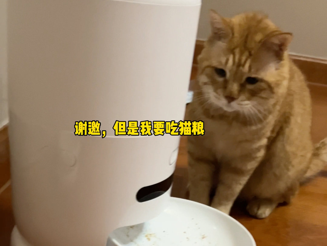 山猪吃不了细糠哔哩哔哩bilibili