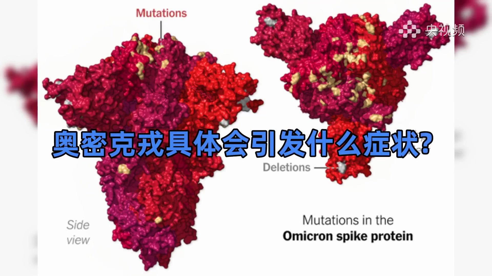 新冠变异毒株奥密克戎真面目曝光哔哩哔哩bilibili
