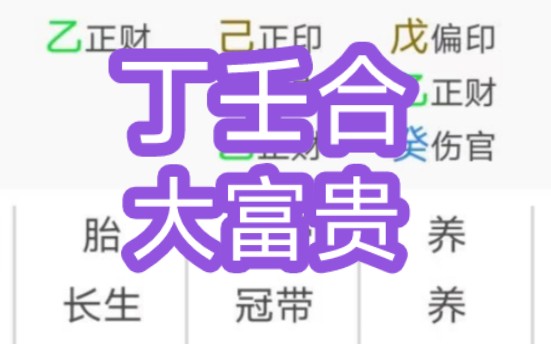 丁壬合大富贵哔哩哔哩bilibili