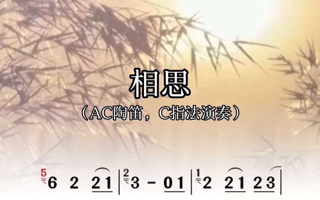 相思,陶笛动态简谱 抖音夏日光合季 简谱分享