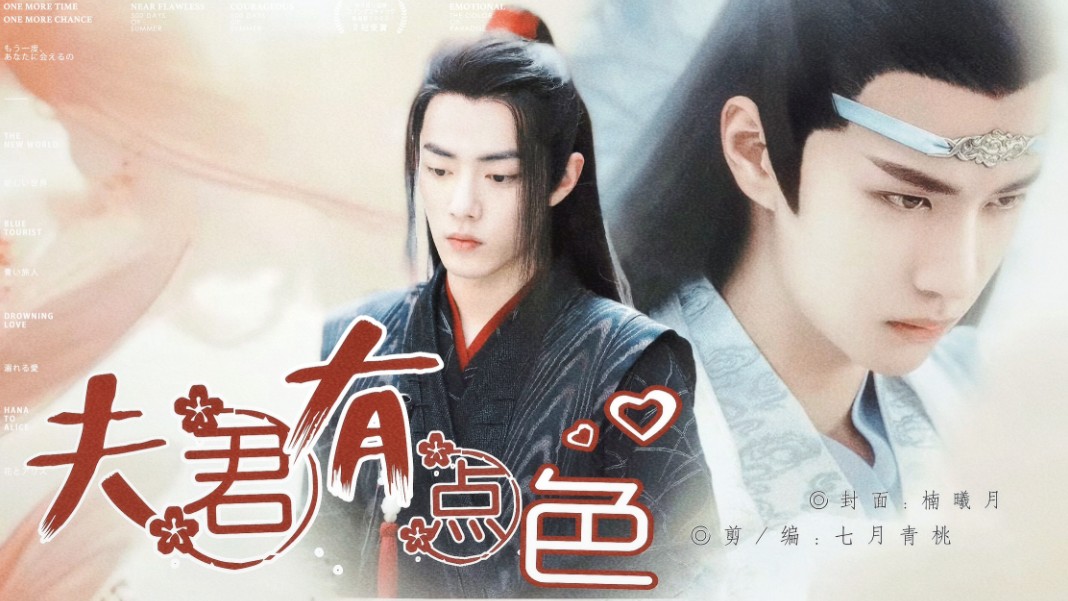 「夫君系列②/羡忘」合集 夫君有点涩 se批督卫羡/奶萌王爷湛