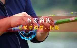 Tải video: 谷麦钓鱼：七星漂调漂，找底的实操演示