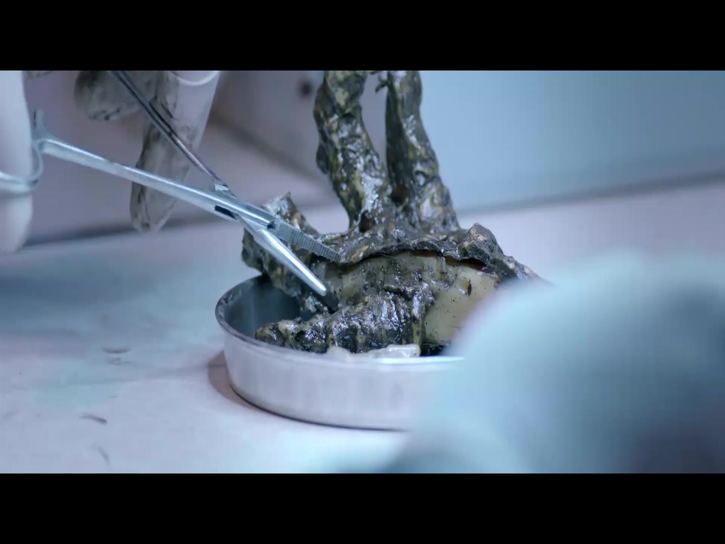 法医秦明第一集张若昀cut