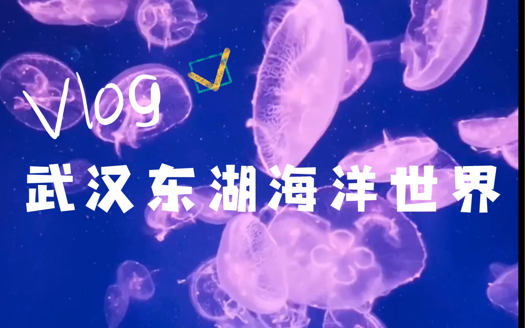 武汉东湖海洋世界 帝企鹅水母珊瑚哔哩哔哩bilibili