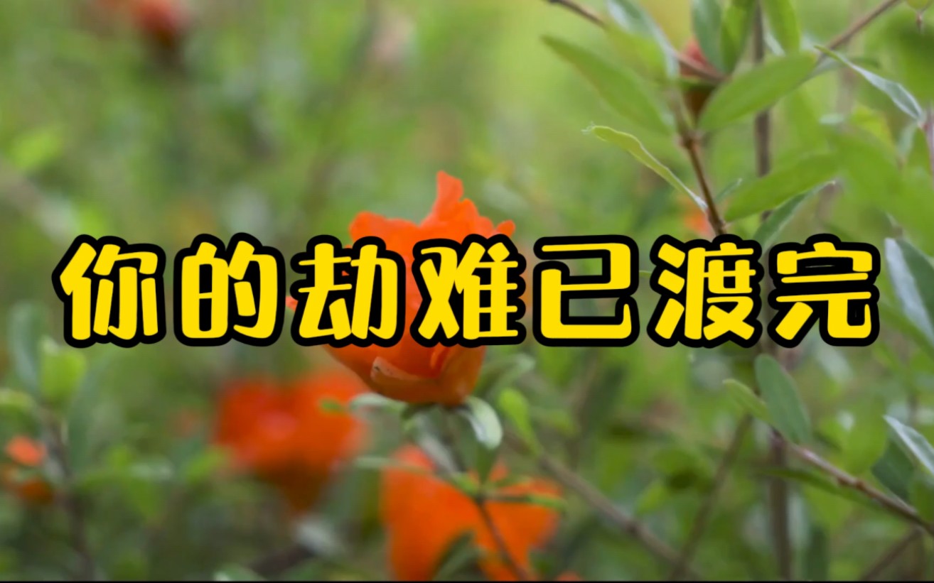 你的劫难已渡完