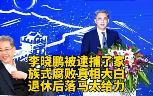 Descargar video: 李晓鹏被逮捕了，家族式腐败真相大白，退休后落马太给力了！