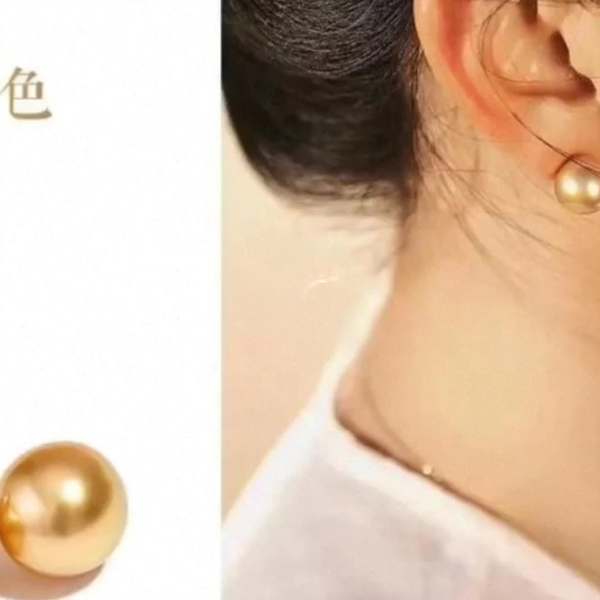 南洋金珠耳钉，天然浓金11.5-12mm正圆无暇，A级珠光透亮，精品