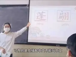 Video herunterladen: 缅北果敢最新状况